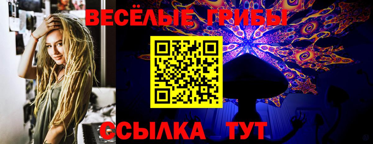 Галлюциногенные грибы Psilocybe  Вход с VPN  Елец 