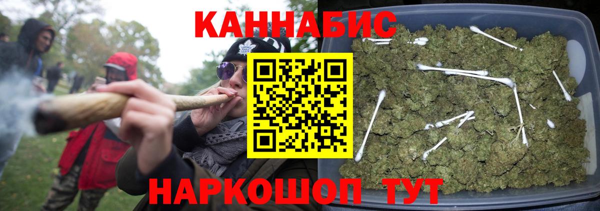 Каннабис план Елец